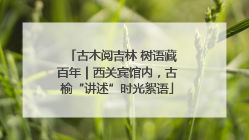 古木阅吉林 树语藏百年｜西关宾馆内，古榆“讲述”时光絮语