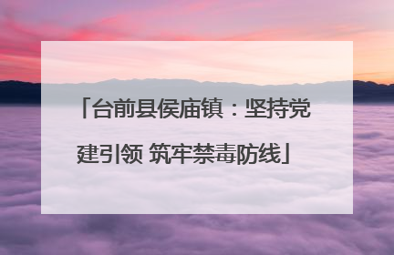 台前县侯庙镇：坚持党建引领 筑牢禁毒防线