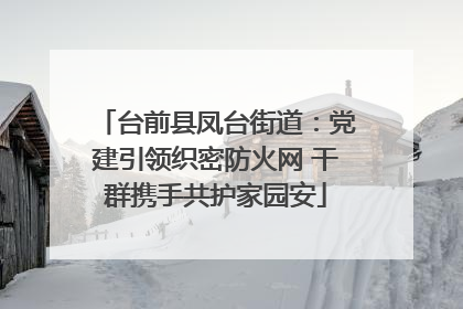 台前县凤台街道：党建引领织密防火网 干群携手共护家园安