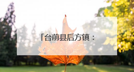 台前县后方镇：创新实干奏响招商引资“强音”