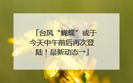 台风“蝴蝶”或于今天中午前后再次登陆！最新动态→