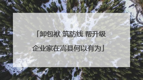 卸包袱 筑防线 帮升级 企业家在嵩县何以有为