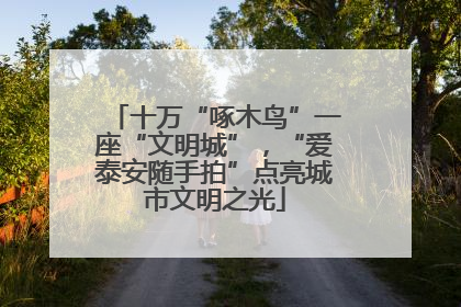 十万“啄木鸟”一座“文明城”，“爱泰安随手拍”点亮城市文明之光