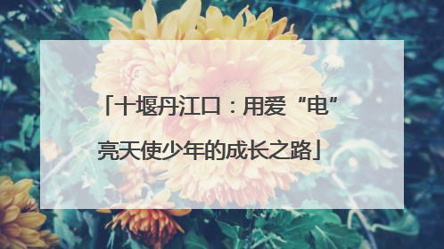 十堰丹江口：用爱“电”亮天使少年的成长之路