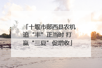 十堰市郧西县农机追“丰”正当时 打赢“三夏”促增收