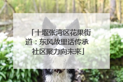 十堰张湾区花果街道：东风故里话传承 社区聚力向未来