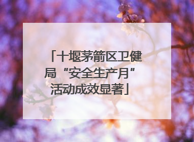 十堰茅箭区卫健局“安全生产月”活动成效显著