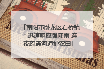 南阳市卧龙区石桥镇：迅速响应强降雨 连夜疏通河道护农田