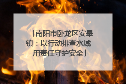 南阳市卧龙区安皋镇：以行动排查水域 用责任守护安全