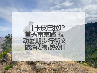 卡皮巴拉IP首秀南京路 拉动暑期步行街文旅消费新热潮