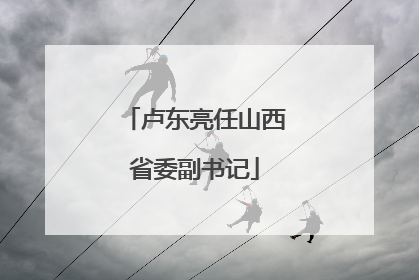卢东亮任山西省委副书记