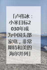 卢伟冰：小米目标2030年成为中国头部家电，非常期待和美的海尔并列