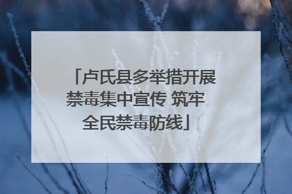 卢氏县多举措开展禁毒集中宣传 筑牢全民禁毒防线