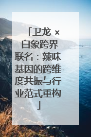 卫龙 × 白象跨界联名：辣味基因的跨维度共振与行业范式重构