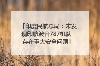 印度民航总局：未发现印航波音787机队存在重大安全问题