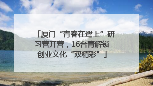 厦门“青春在鹭上”研习营开营，16台青解锁创业文化“双精彩”