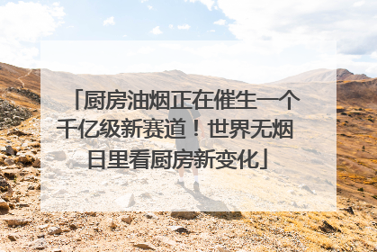 厨房油烟正在催生一个千亿级新赛道！世界无烟日里看厨房新变化