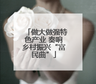 做大做强特色产业 奏响乡村振兴“富民曲”