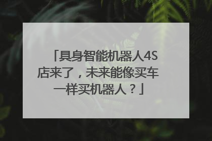 具身智能机器人4S店来了，未来能像买车一样买机器人？