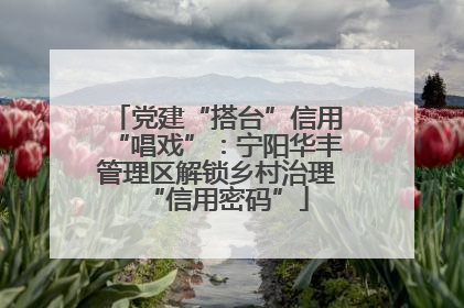 党建“搭台”信用“唱戏”：宁阳华丰管理区解锁乡村治理“信用密码”