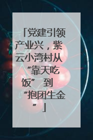 党建引领产业兴，紫云小湾村从 “靠天吃饭” 到 “抱团生金”