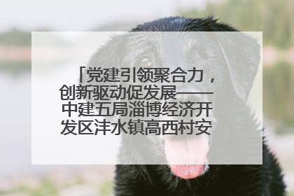 党建引领聚合力，创新驱动促发展——中建五局淄博经济开发区沣水镇高西村安置项目建设纪实