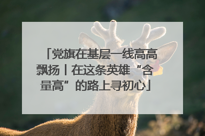 党旗在基层一线高高飘扬丨在这条英雄“含量高”的路上寻初心