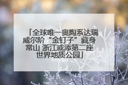 全球唯一奥陶系达瑞威尔阶“金钉子”藏身常山 浙江或添第二座世界地质公园