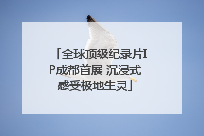 全球顶级纪录片IP成都首展 沉浸式感受极地生灵