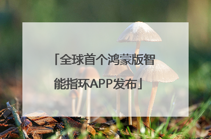 全球首个鸿蒙版智能指环APP发布
