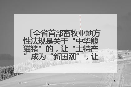 全省首部畜牧业地方性法规是关于“中华熊猫猪”的，让“土特产”成为“新国潮”，让“农产品”升格为“城市IP”