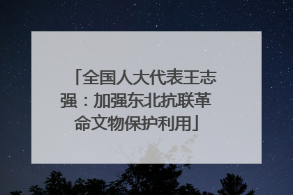 全国人大代表王志强：加强东北抗联革命文物保护利用