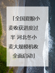 全国夏粮小麦收获进度过半 河北冬小麦大规模机收全面启动