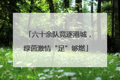 六十余队竞逐港城，绿茵激情“足”够燃