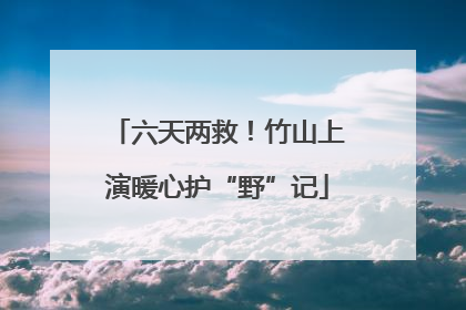 六天两救！竹山上演暖心护“野”记