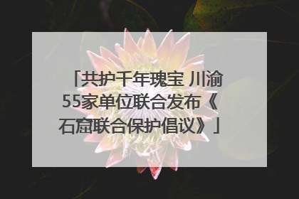 共护千年瑰宝 川渝55家单位联合发布《石窟联合保护倡议》