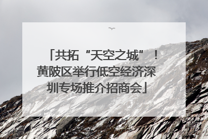 共拓“天空之城”！黄陂区举行低空经济深圳专场推介招商会