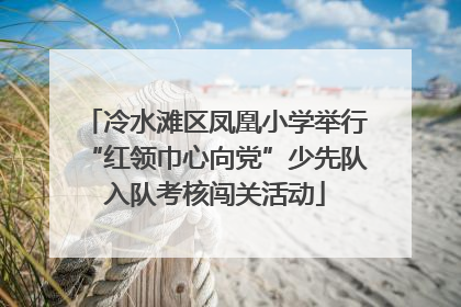 冷水滩区凤凰小学举行“红领巾心向党”少先队入队考核闯关活动