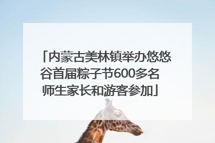 内蒙古美林镇举办悠悠谷首届粽子节600多名师生家长和游客参加