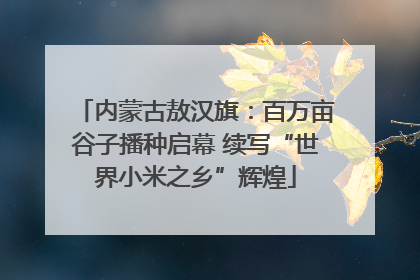 内蒙古敖汉旗：百万亩谷子播种启幕 续写“世界小米之乡”辉煌