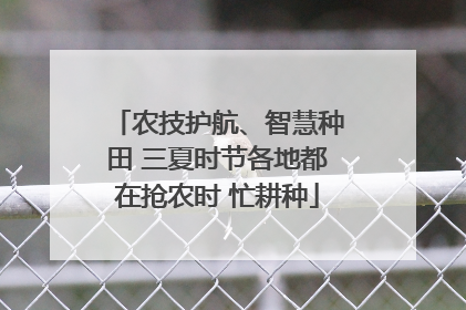 农技护航、智慧种田 三夏时节各地都在抢农时 忙耕种