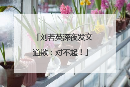 刘若英深夜发文道歉：对不起！