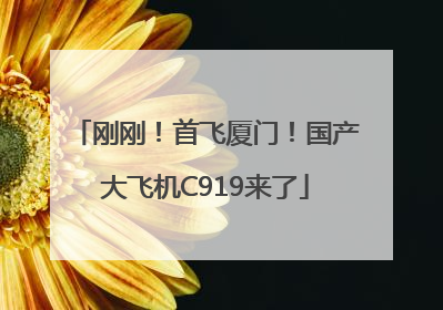 刚刚！首飞厦门！国产大飞机C919来了