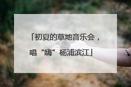 初夏的草地音乐会，唱“嗨”杨浦滨江