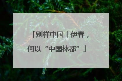 别样中国丨伊春，何以“中国林都”
