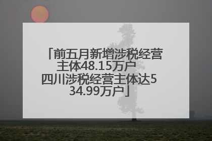 前五月新增涉税经营主体48.15万户 四川涉税经营主体达534.99万户