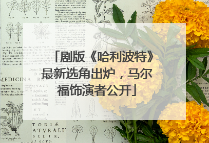 剧版《哈利波特》最新选角出炉，马尔福饰演者公开