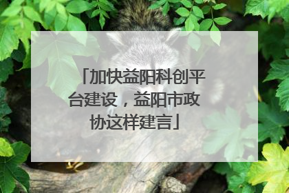 加快益阳科创平台建设，益阳市政协这样建言