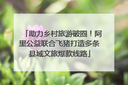 助力乡村旅游破圈！阿里公益联合飞猪打造多条县域文旅爆款线路