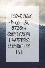 劳动九宫格 ①｜从8726位微信好友看王星苹的公益信仰与坚持
